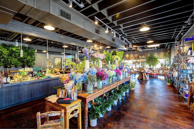 17403 dr delphinium designs events 1