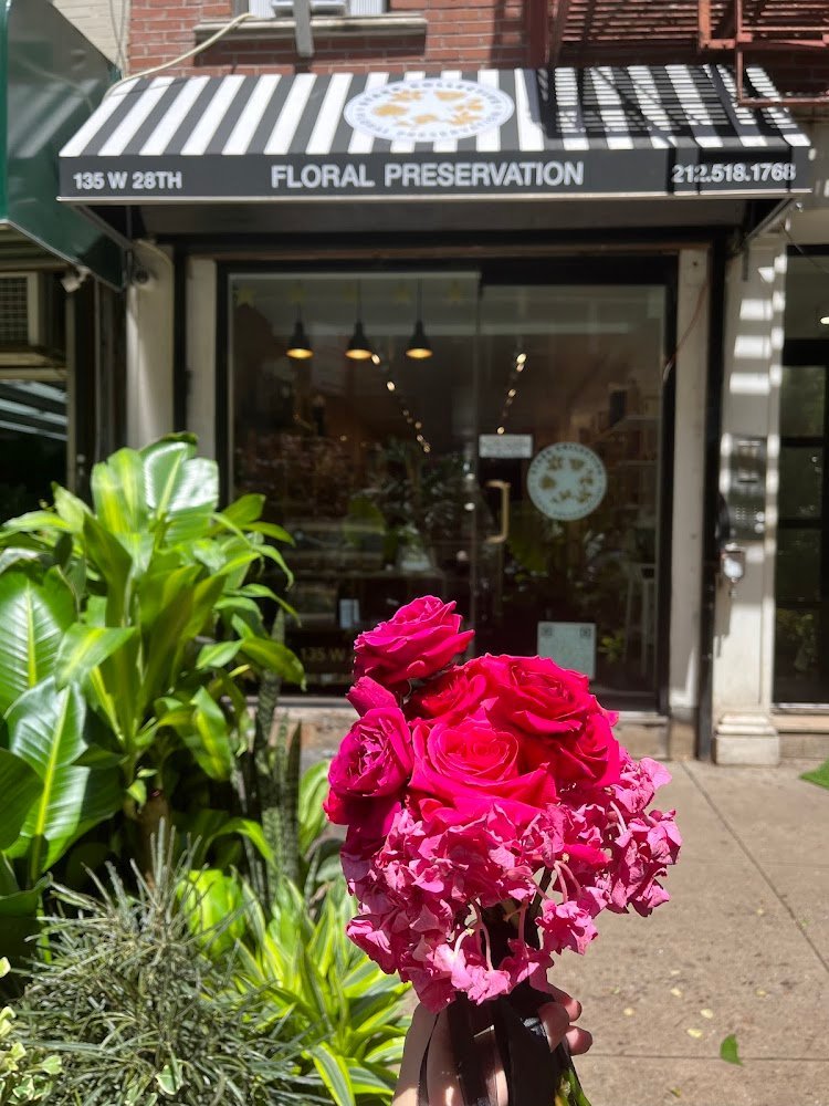 20581 starr collective floral preservation