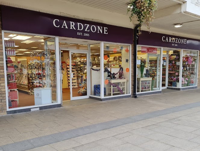 21391 cardzone 1