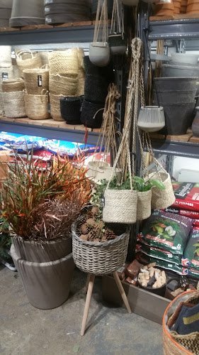 21717 the nunhead gardener 8211 camberwell 1
