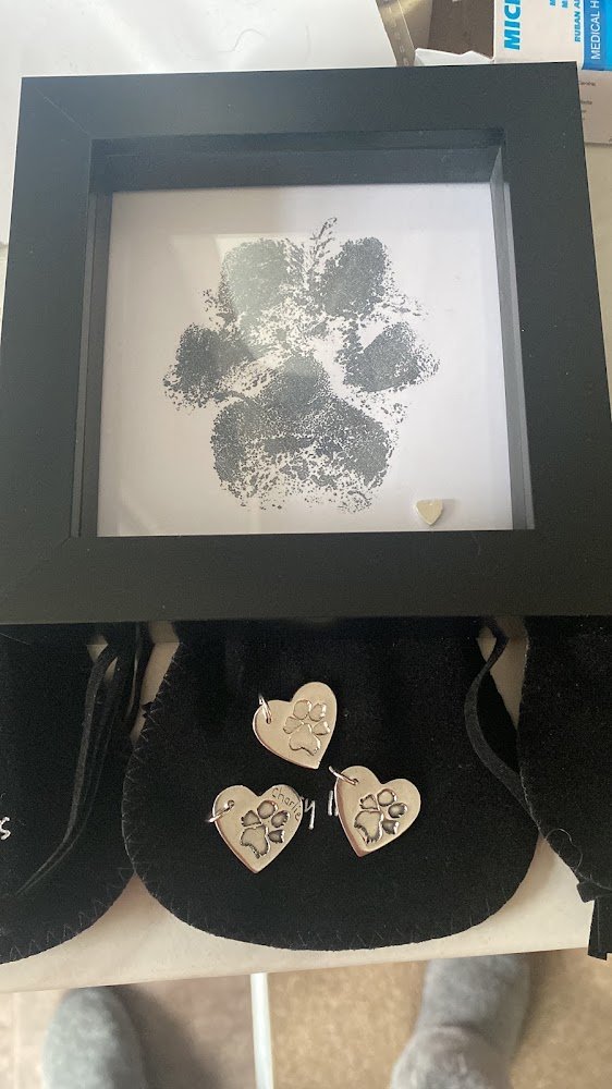 22027 daisy imprints 1