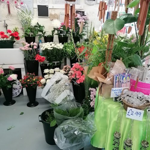 22126 barkers blooms 1