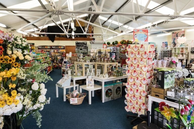 22461 saintfield nursery centre 768x512